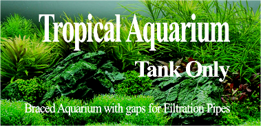 tropical fish tank freshwater aquarium