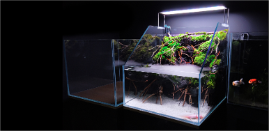 braceless rimless paludarium aquascape scape tank MD aquatics opti white clear siliocne cerium